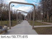 Аллея в Заневском парке. Санкт-Петербург. Редакционное фото, фотограф Александр Щепин / Фотобанк Лори