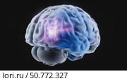 Human brain showing different neurological activity areas. Стоковое AI-видео, аниматор Юрий Поздников / Фотобанк Лори