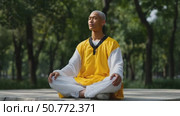 Young monk meditating in a peaceful garden. Стоковое AI-видео, аниматор Юрий Поздников / Фотобанк Лори