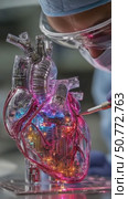 Scientist working on transparent artificial heart with electronics. Стоковое AI-видео, аниматор Юрий Поздников / Фотобанк Лори