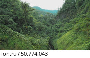 Dense forest and river valley surrounding Toro waterfall in evergreen Costa Rica. Стоковое видео, видеограф Ольга Сухарева / Фотобанк Лори