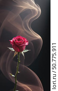 Single red rose with green stem and petals enveloped in delicate wisps of smoke on a dark background. Romantic concept footage. vertical video. Стоковое AI-видео, аниматор Анжелика Самсонова / Фотобанк Лори