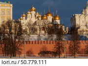 Annunciation and Assumption Cathedrals on the Cathedral Square of the Moscow Kremlin from the embankment of the Moskva River on a sunny winter day, Moscow, Russia. Стоковое фото, фотограф Ula Ulachka / Фотобанк Лори
