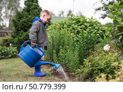 A cute boy with a blue watering can is watering plants and flowers in a summer garden outdoors. The concept of gardening and teaching a child to work. Стоковое фото, фотограф Photojuli / Фотобанк Лори