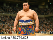 A Powerful Sumo Wrestler Displaying Strength and Tradition in a Grand Arena Surrounded by Enthusiastic Fans Cheering for an Intense Match. Стоковое AI-изображение, AI-художник Башкирова Анна / Фотобанк Лори