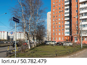 Жилые дома на проспекте Косыгина. Санкт-Петербург. Редакционное фото, фотограф Александр Щепин / Фотобанк Лори