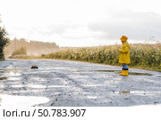 A boy in yellow rubber boots and a raincoat runs through puddles, having fun and playing with a remote-controlled car after it rains. Summer and autumn holidays. A happy childhood. Стоковое фото, фотограф Photojuli / Фотобанк Лори