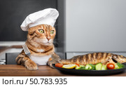 The cat chef looks at a plate of fish. Стоковое фото, фотограф Светлана Султанаева / Фотобанк Лори