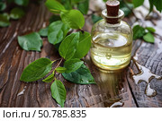 Natural tea tree oil being extracted on rustic wood surface. Стоковое AI-изображение, AI-художник Иван Рябоконь / Фотобанк Лори