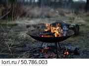 Outdoor fire pit with burning wood in natural setting. Стоковое AI-изображение, AI-художник Иван Рябоконь / Фотобанк Лори