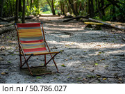 Empty colorful chair on a forest pathway. Стоковое AI-изображение, AI-художник Иван Рябоконь / Фотобанк Лори