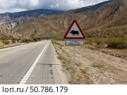 Warning sign indicating wild boar habitat along Gorgan Bojnord road in Iran. Стоковое фото, фотограф Михаил Пряхин / Фотобанк Лори