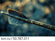 Carbon fiber arrow flying through air with blurred background. Стоковое AI-изображение, AI-художник Иван Рябоконь / Фотобанк Лори