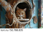 Ginger cat relaxing in wooden cat tree. Стоковое AI-изображение, AI-художник Иван Рябоконь / Фотобанк Лори