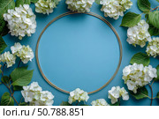 Beautiful Floral Arrangement With White Hydrangeas and a Circular Frame on a Blue Background. Стоковое AI-изображение, AI-художник Юлия Гапеенко / Фотобанк Лори