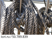 Свернутые корабельные канаты развешанные на палубе парусника. Coiled ship's ropes hung on the deck of a sailing ship. Стоковое фото, фотограф Татьяна Д / Фотобанк Лори