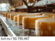 Fresh cheese loaf drying on metal table in a dairy processing plant. Стоковое AI-изображение, AI-художник Иван Рябоконь / Фотобанк Лори
