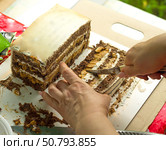 Woman cuts a piece of Chocolate cream cake on nature. Стоковое фото, фотограф Андрей Митин / Фотобанк Лори