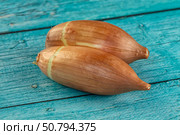 Ripe shallot onion for cooking. Стоковое фото, фотограф Андрей Старостин / Фотобанк Лори
