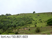 Горы недалеко от Гамсутля. Республика Дагестан. Стоковое фото, фотограф Александр Тараканов / Фотобанк Лори