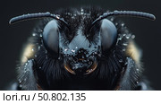 Detailed close-up of a fly showcasing intricate eye. Стоковое AI-изображение, AI-художник Михаил Коханчиков / Фотобанк Лори