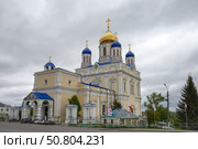 Кафедральный собор Вознесения Господня облачным днем. Елец, Липецкая область. Редакционное фото, фотограф Анна Карасева / Фотобанк Лори