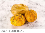 Decorative yelow pampkin seasonal vegetables. Стоковое фото, фотограф Андрей Старостин / Фотобанк Лори