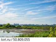 Иловая площадка очистных сооружений на фоне города. Стоковое фото, фотограф Илья Старков / Фотобанк Лори