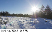 Ruskeala, Karelia. A man walks through a winter park. Стоковое видео, видеограф Виктор Тихонов / Фотобанк Лори