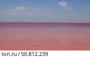 Vast expanse of vibrant pink water under a clear blue sky, with gentle waves creating ripples, showcasing the unique beauty of this surreal natural landscape. Sasyk-Sivash Lake. Стоковое видео, видеограф Ирина Ручушкина / Фотобанк Лори