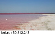 Vast expanse of vibrant pink water under a clear blue sky, with gentle waves creating ripples, showcasing the unique beauty of this surreal natural landscape. Sasyk-Sivash Lake. Стоковое видео, видеограф Ирина Ручушкина / Фотобанк Лори