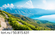 Scenic Vineyard Vista: Sloping Vines Overlook Sparkling Lake & Majestic Snow-Capped Peaks, A Summer's Day. Стоковое AI-изображение, AI-художник Данила Большаков / Фотобанк Лори