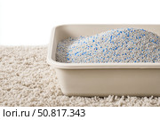 Cat litter box filled with white-gray litter with blue particles. Clumping cat in home background. Clean gray beige pet litter box placed on a rug carpet. Cleanliness concept. Cat toilet. Pets hygiene. Стоковое AI-изображение, AI-художник Марина Демидюк / Фотобанк Лори
