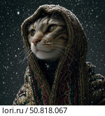 Кот модель. Стоковое AI-изображение, AI-художник Дарья Осипкина / Фотобанк Лори