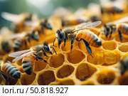 Close-Up View of Bees Working on a Honeycomb, Showcasing Their Intricate Patterns and Social Behavior in Nature's Marvelous Ecosystem. Стоковое AI-изображение, AI-художник Башкирова Анна / Фотобанк Лори