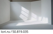 Sunlight Streaming Through Windows. Стоковое AI-видео, аниматор Кирилл Черезов / Фотобанк Лори