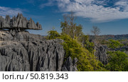 The unique cliffs of Madagascar. Bizarre karst rocks with furrowed slopes, sharp spiky peaks against a background of blue sky and clouds. Green vegetation in the valley. Tsingy De Bemaraha. Стоковое фото, фотограф Вера Ивановна Кубарева / Фотобанк Лори