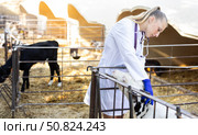 young veterinarian checks on small calves on a farm. Стоковое фото, фотограф Яков Филимонов / Фотобанк Лори