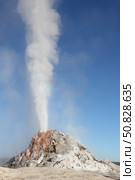 White Dome Geyser erupting, Upper Geyser Basin geothermal area, Yellowstone National Park (2012 год). Стоковое фото, фотограф Richard Roscoe/Stocktrek Images / ТАСС / Фотобанк Лори