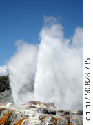 Pohutu and Prince of Wales Feathers Geyser, Whakarewarewa, Rotorua, New Zealand. Стоковое фото, фотограф Richard Roscoe/Stocktrek Images / ТАСС / Фотобанк Лори