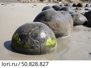 Moeraki Boulders, Koekohe Beach, New Zealand. Стоковое фото, фотограф Richard Roscoe/Stocktrek Images / ТАСС / Фотобанк Лори