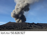 Eruption of ash cloud from Mount Bromo volcano, Tengger Caldera, Java, Indonesia (2011 год). Стоковое фото, фотограф Richard Roscoe/Stocktrek Images / ТАСС / Фотобанк Лори