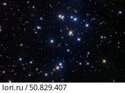 The Beehive Cluster Roth Ritter/Stocktrek Images. Стоковое фото, агентство ТАСС / Фотобанк Лори