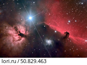 The Horsehead Nebula Roth Ritter/Stocktrek Images. Стоковое фото, агентство ТАСС / Фотобанк Лори