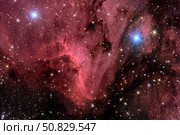 The Pelican Nebula Roth Ritter/Stocktrek Images. Стоковое фото, агентство ТАСС / Фотобанк Лори