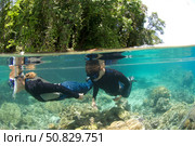 Split level view of snorkeller at Restorf Island, Papua New Guinea. Стоковое фото, фотограф Steve Jones/Stocktrek Images / ТАСС / Фотобанк Лори