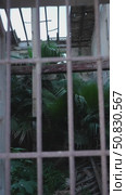 Nature reclaiming abandoned building through barred window. Стоковое видео, видеограф Данил Руденко / Фотобанк Лори