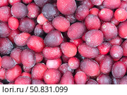 Замороженная клюква  крупный план ягоды. Замороженный продукт для приготовления морсов, киселей, соусов и других блюд. Стоковое фото, фотограф Татьяна Васильева / Фотобанк Лори