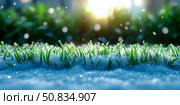 Winter's Whisper: Delicate grass blades emerge under a blanket of snow, kissed by the soft glow of winter sun. Стоковое AI-изображение, AI-художник Данила Большаков / Фотобанк Лори