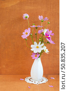 Summer bouquet of fresh delicate pink cosmos flowers  (Lat. Cosmos bipinnatus) in white vase on handmade crochet lace doily on a wooden background. Стоковое фото, фотограф Виктория Катьянова / Фотобанк Лори